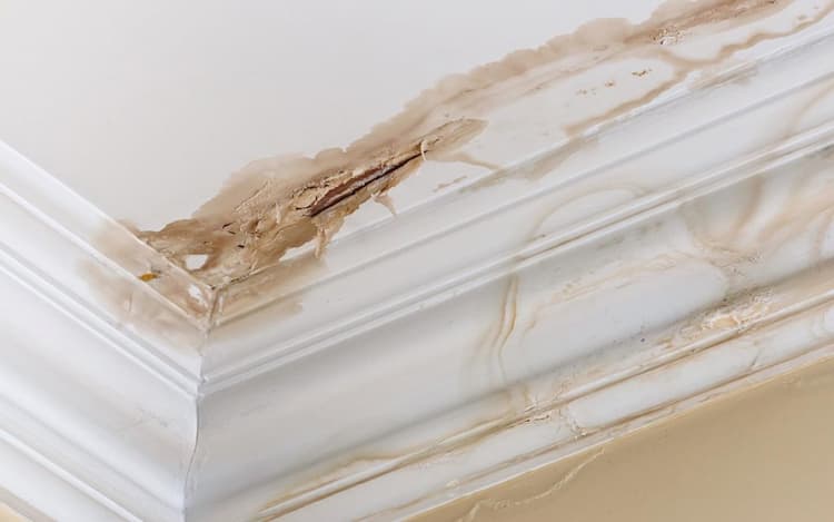 Stop Leaks Before They Start – 3 Smart Roof Care Essentials